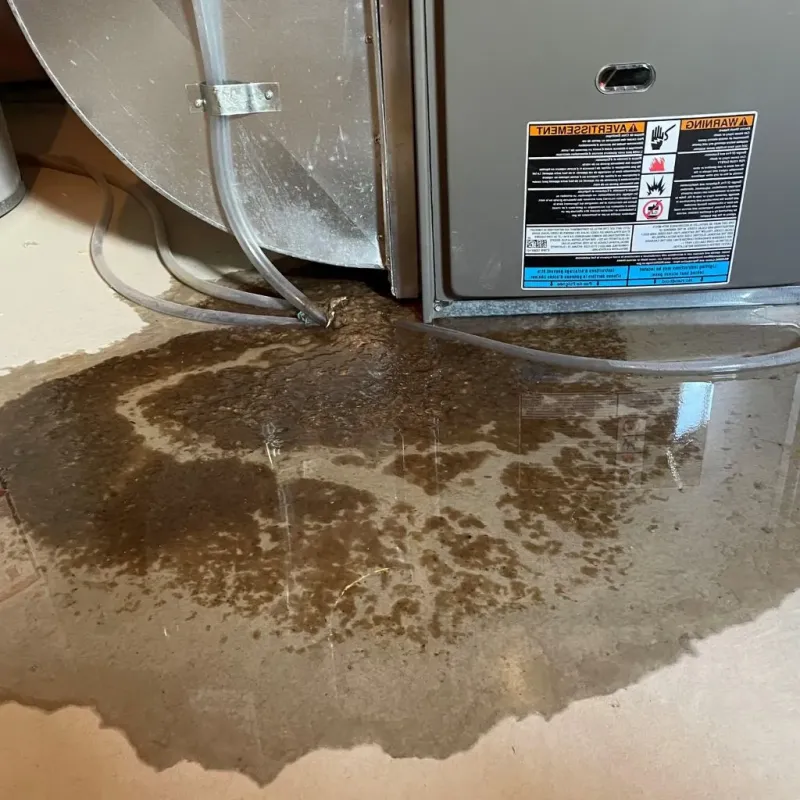 Pipe Burst and Leak Restoration in Clayton County, IA