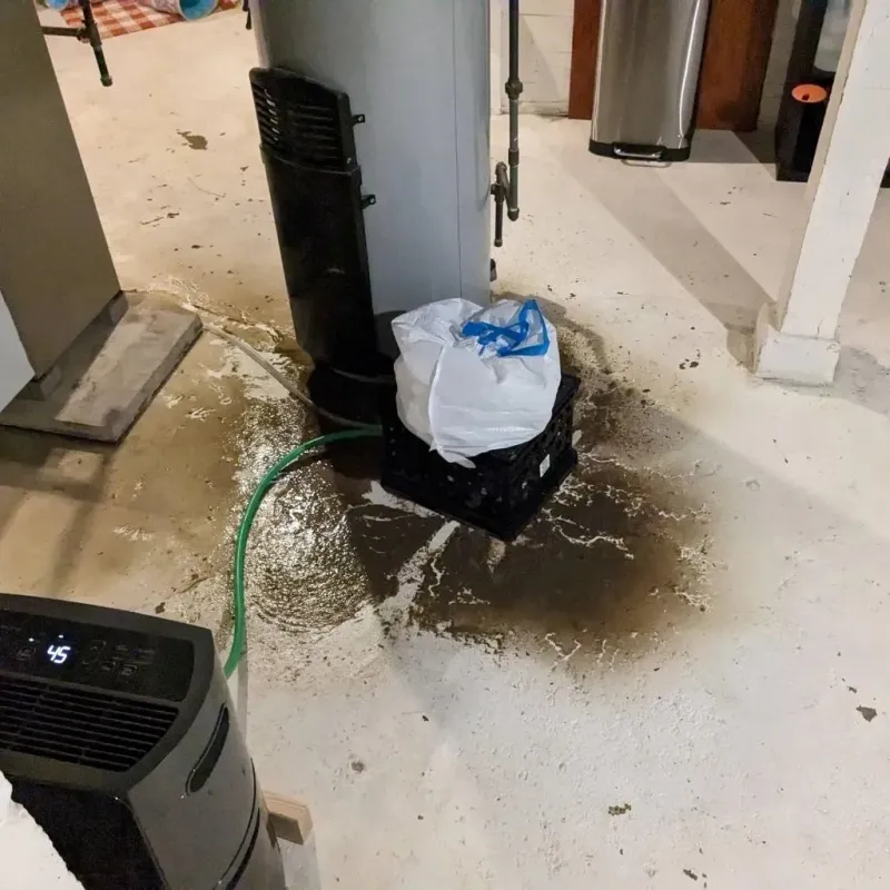 Sewage Backup Cleanup Service in Clayton County, IA